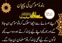 Momin ki pehchan - Hamsaya